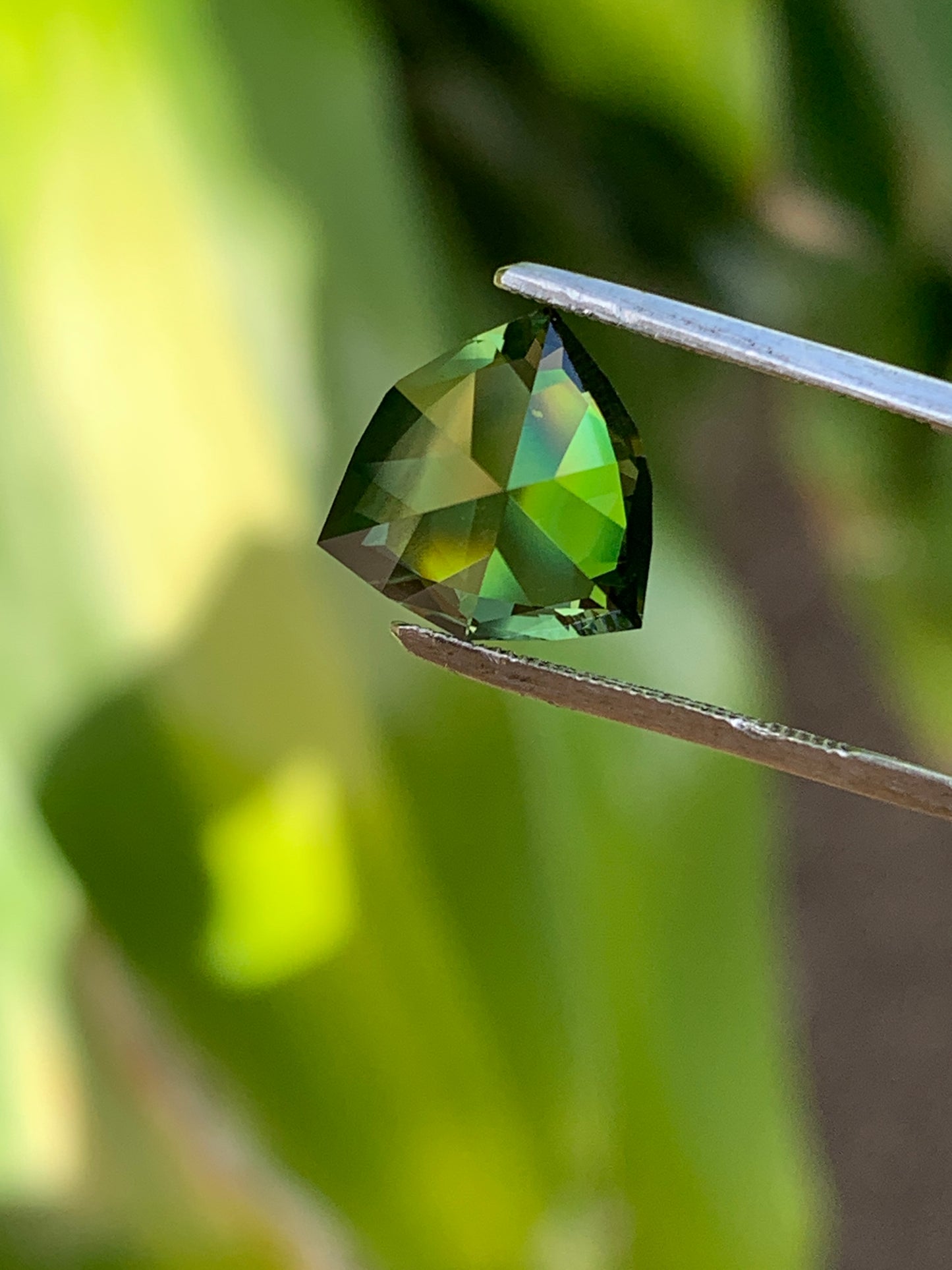 3.7ct Trillion Cut parti Sapphire