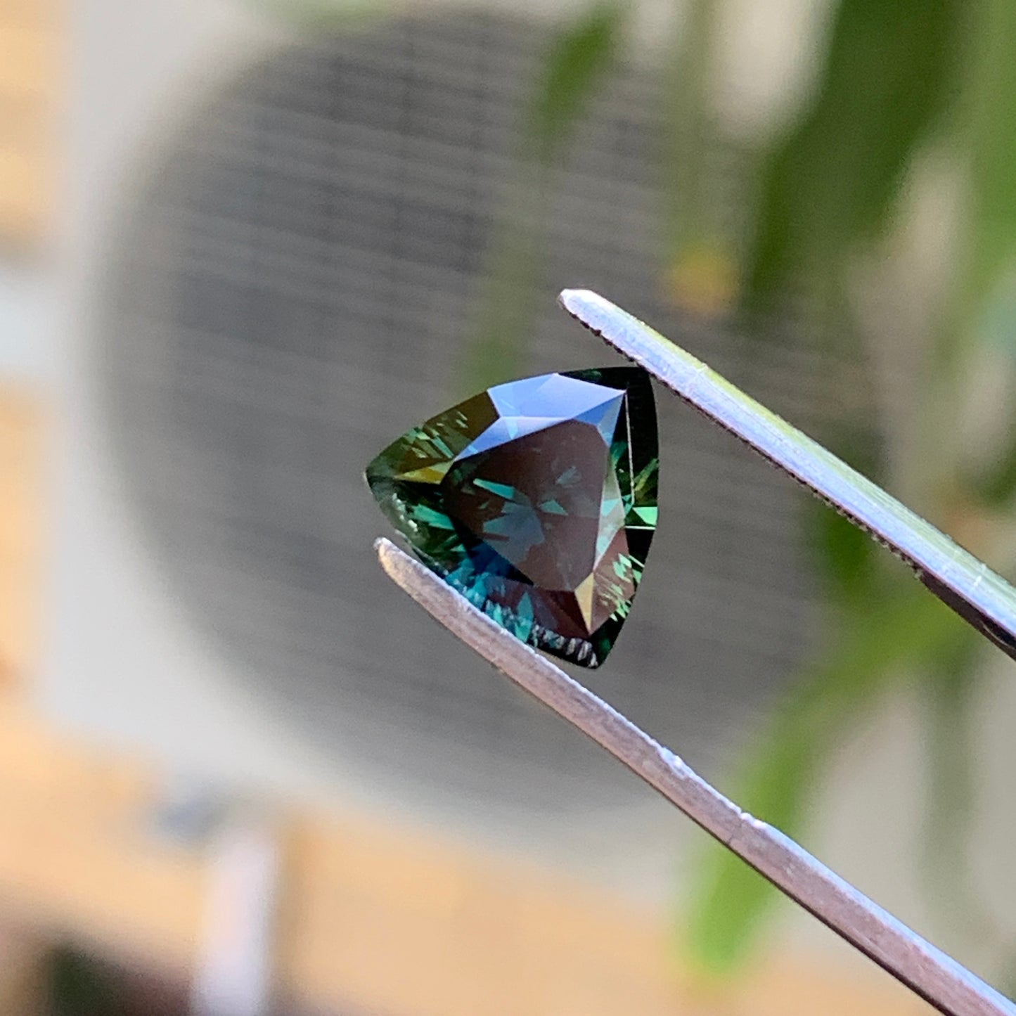 2.28ct Teal Trillion Australian Sapphire