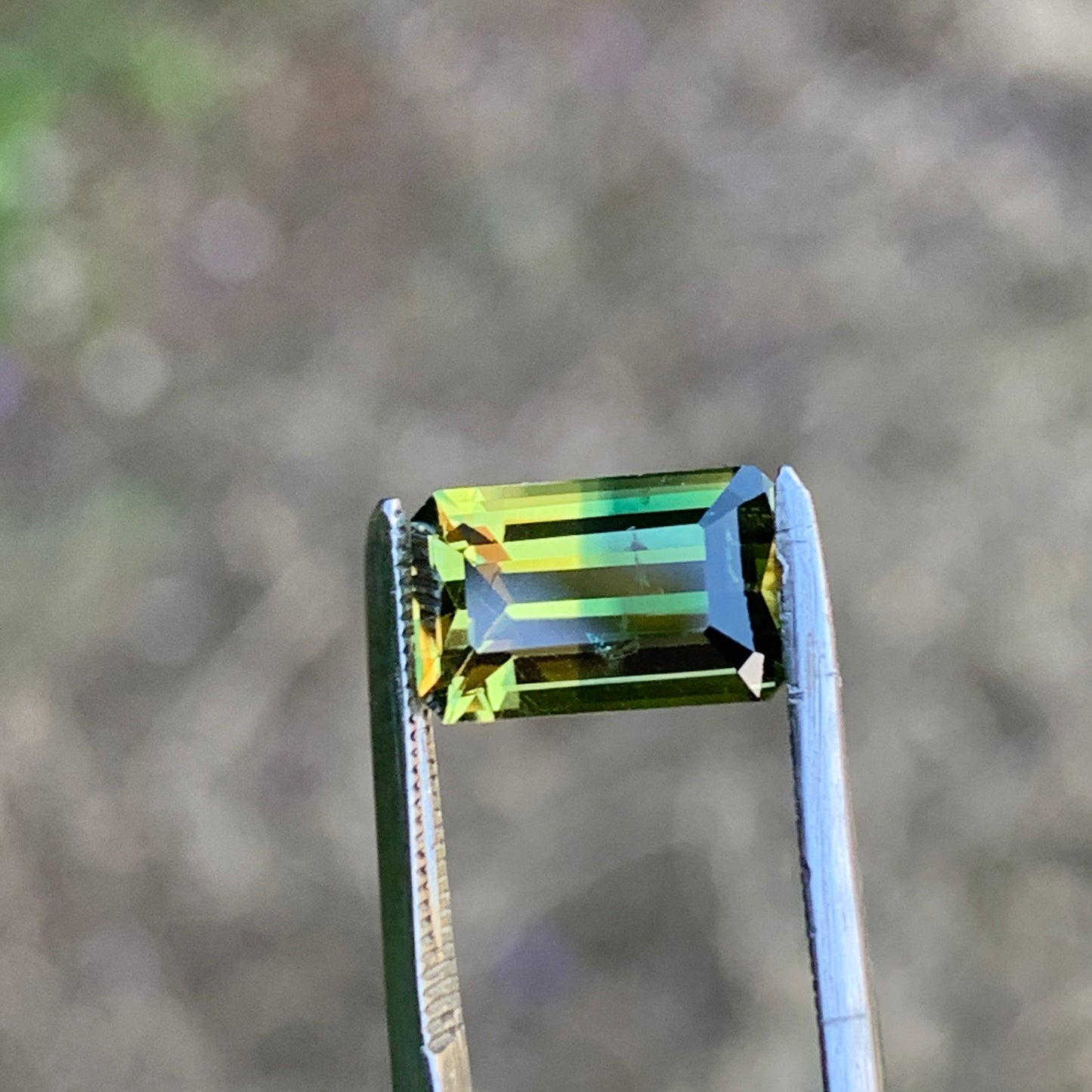 2.72ct Bi colour Split Australian Sapphire