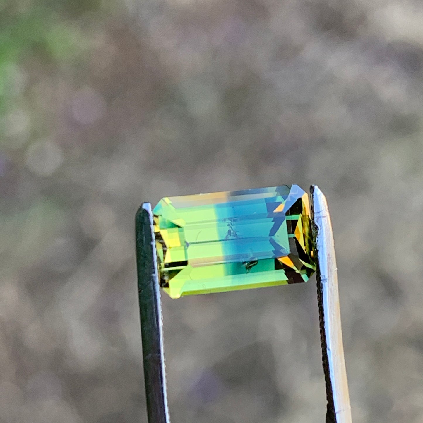 2.72ct Bi colour Split Australian Sapphire