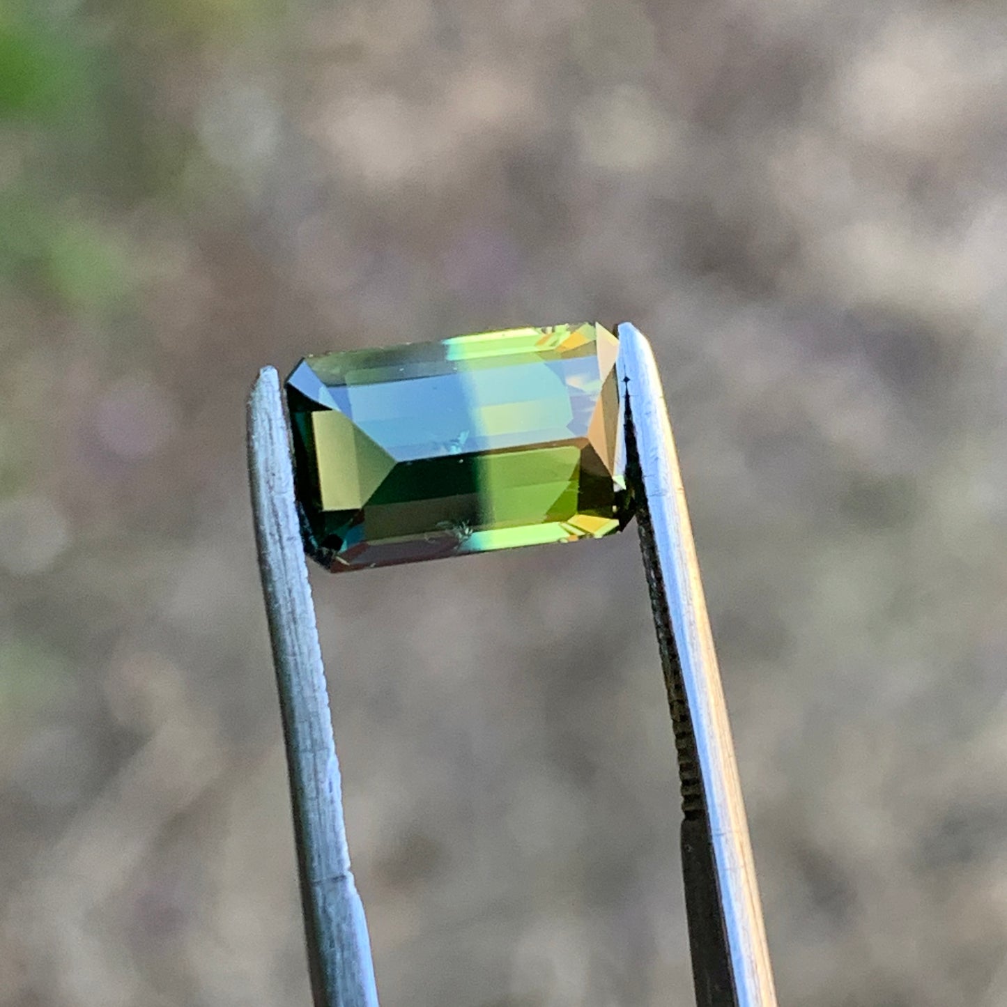 2.72ct Bi colour Split Australian Sapphire