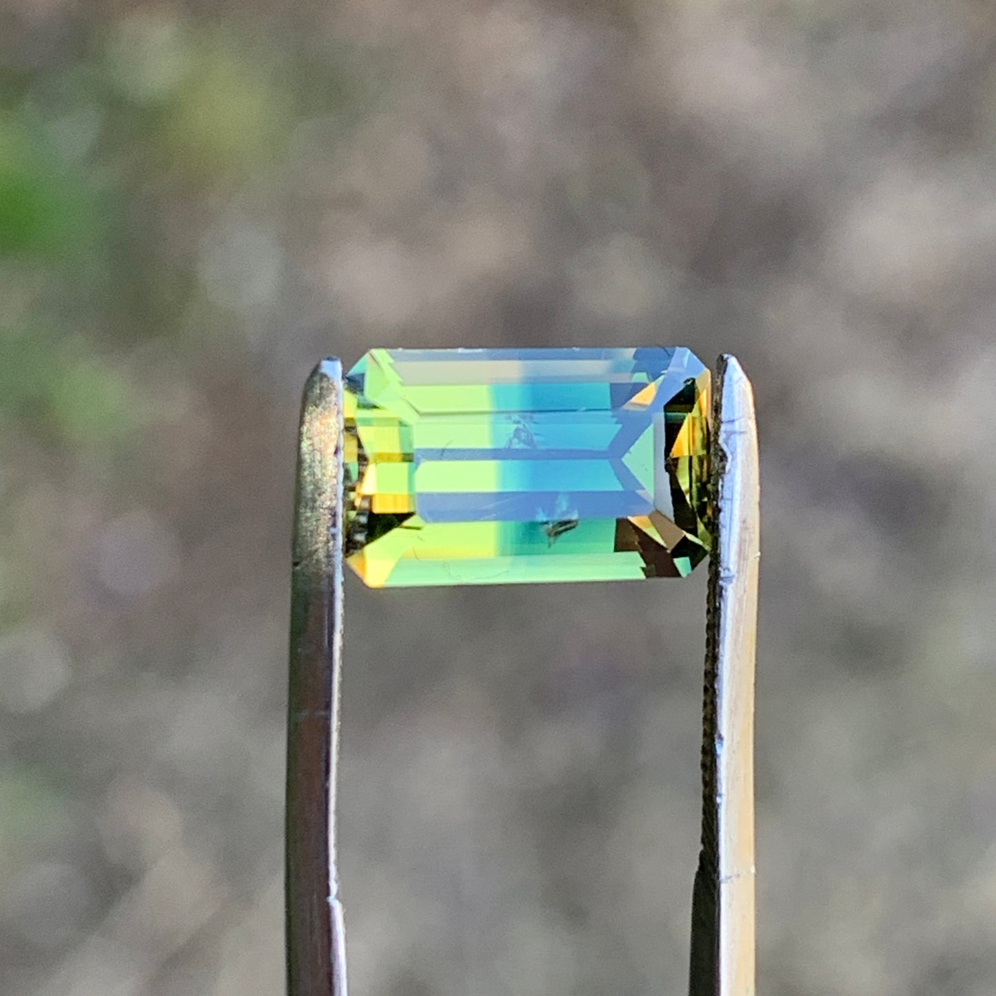 2.72ct Bi colour Split Australian Sapphire