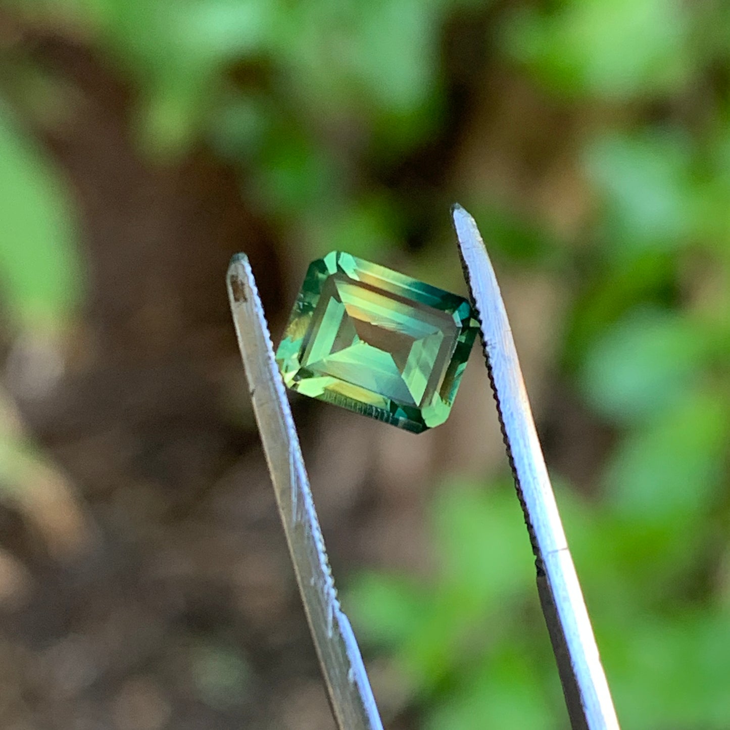 1.32ct Green yellow Parti Sapphire - unheated