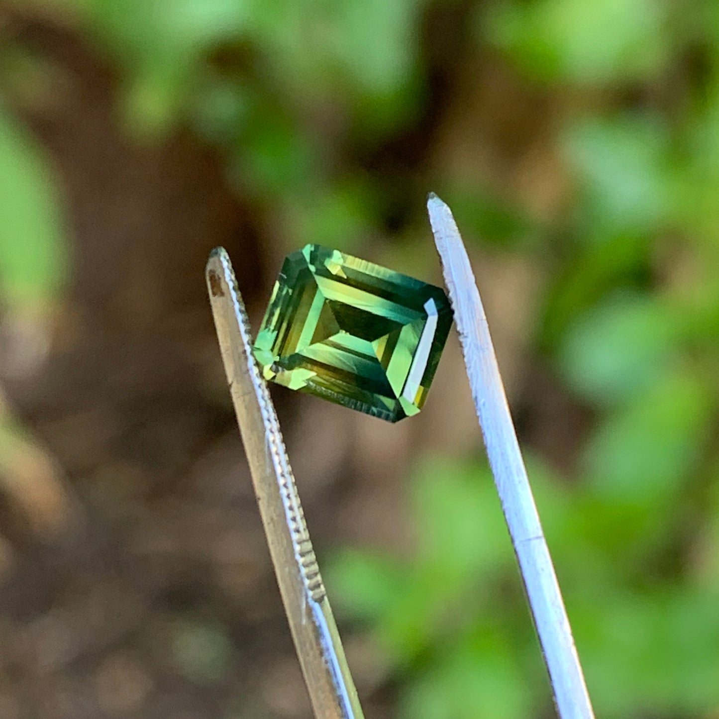 1.32ct Green yellow Parti Sapphire - unheated