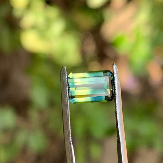 2.0ct Split Bi colour Parti Sapphire - Australian unheated