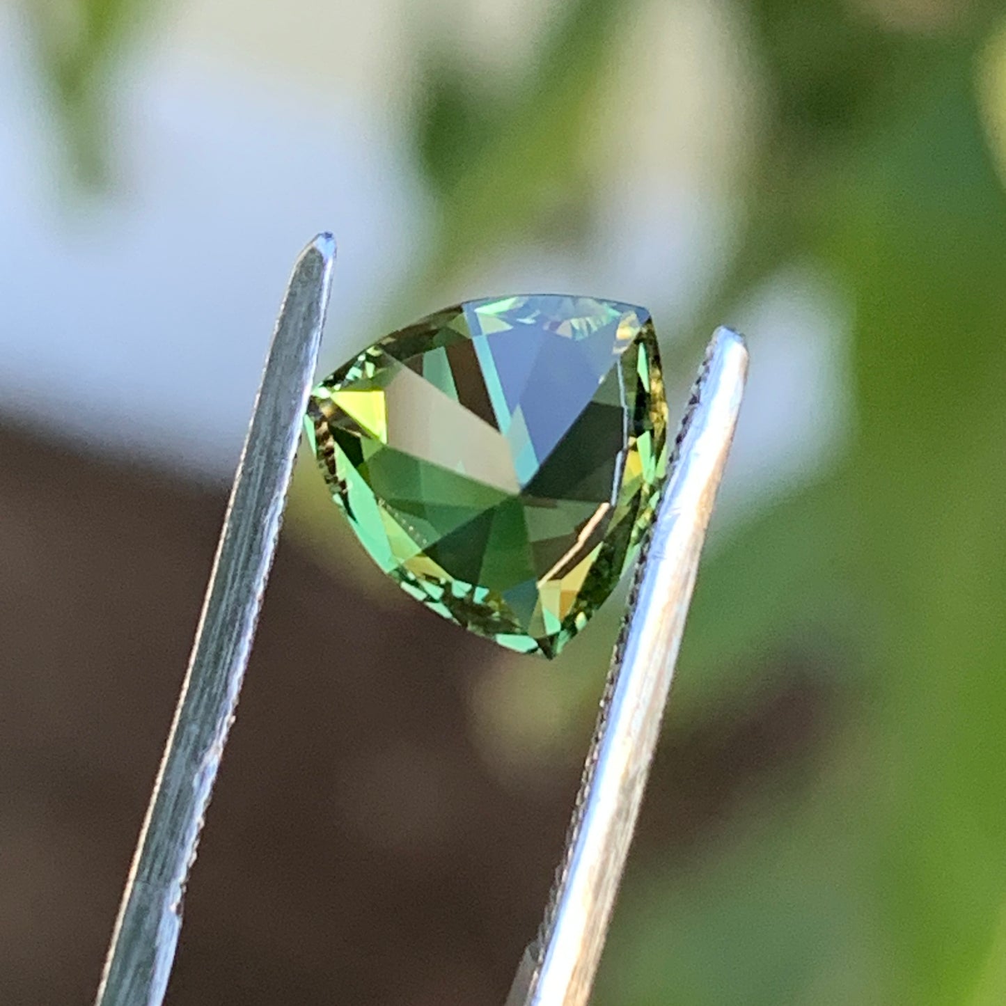1.68 ct Green Trillion Australian Sapphire Unheated - Rear View 