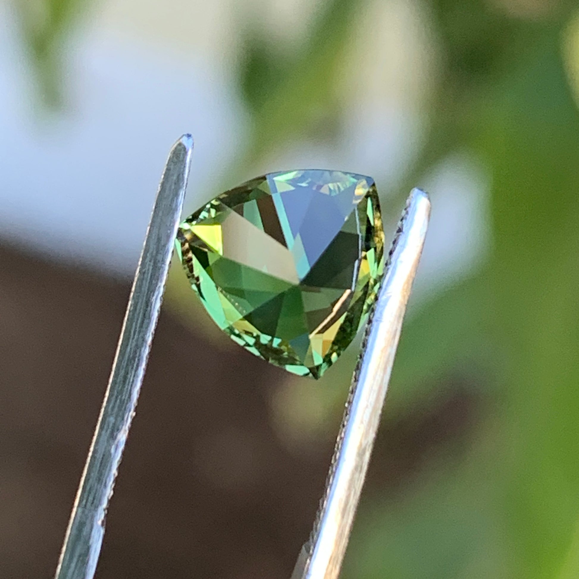 1.68 ct Green Trillion Australian Sapphire Unheated - Rear View 