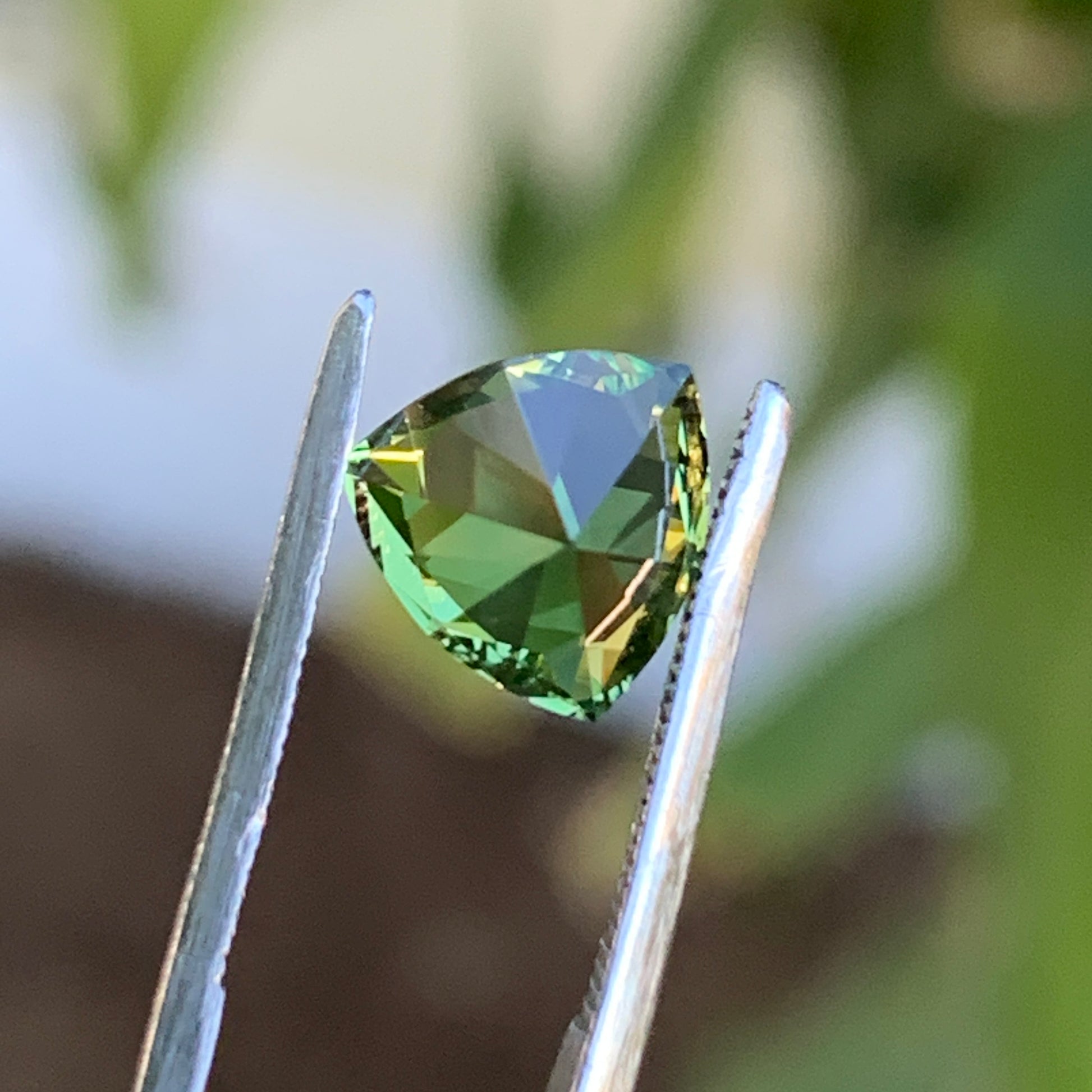 1.68 ct Green Trillion Australian Sapphire Unheated - Rear View 2