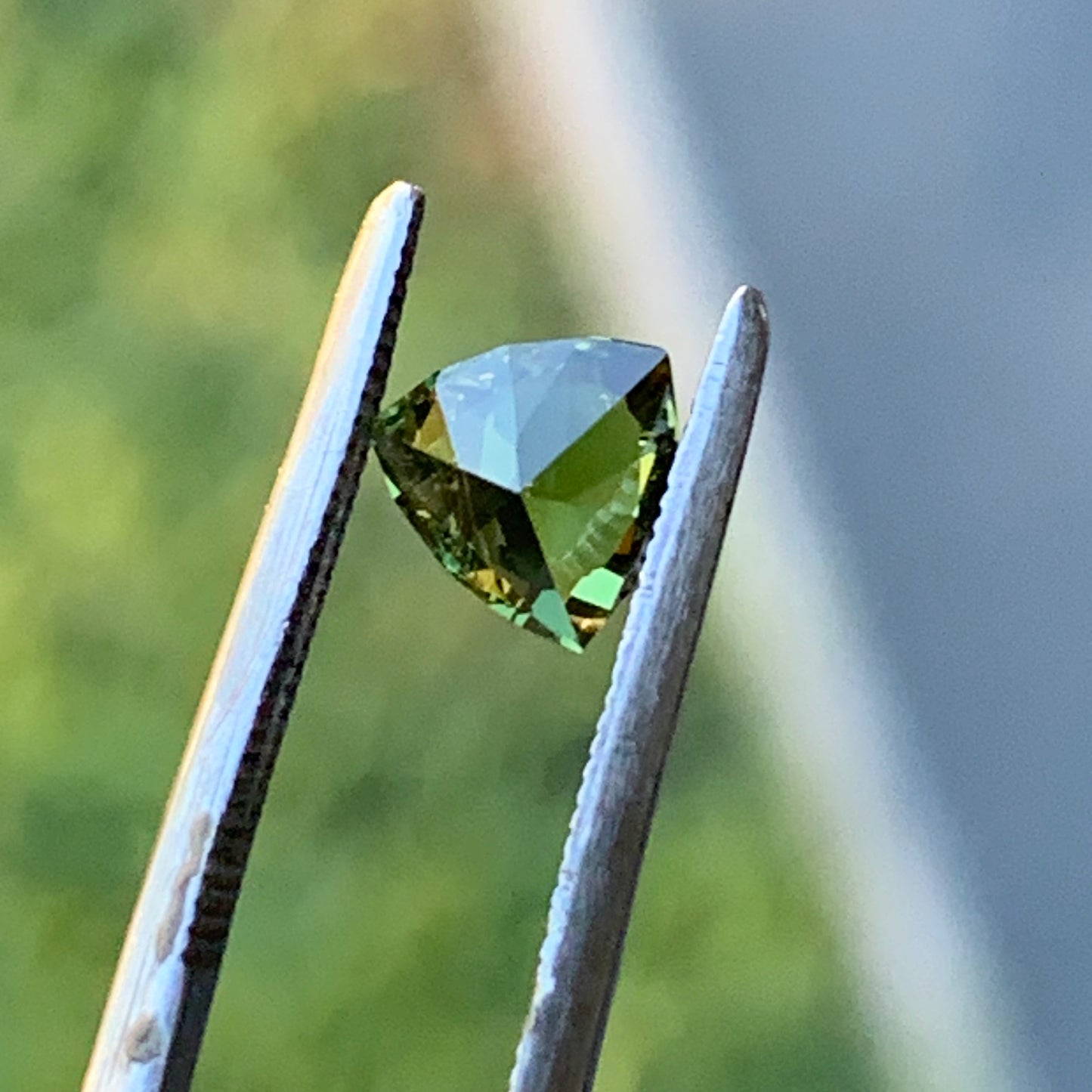 .53pt Yellow Trillion Australian sapphire - unheated