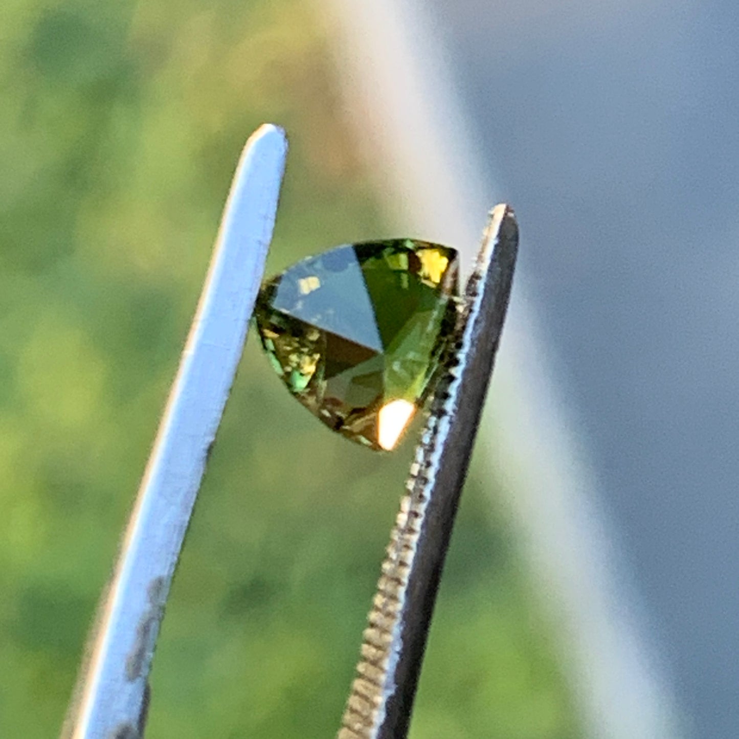 .53pt Yellow Trillion Australian sapphire - unheated
