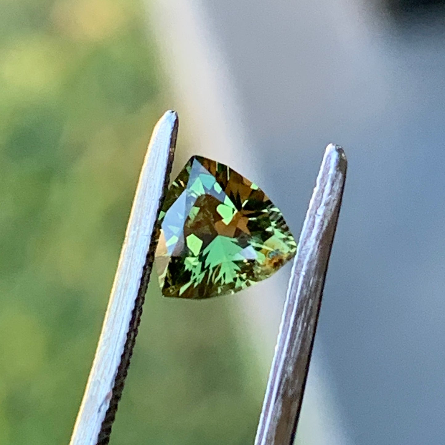 .53pt Yellow Trillion Australian sapphire - unheated